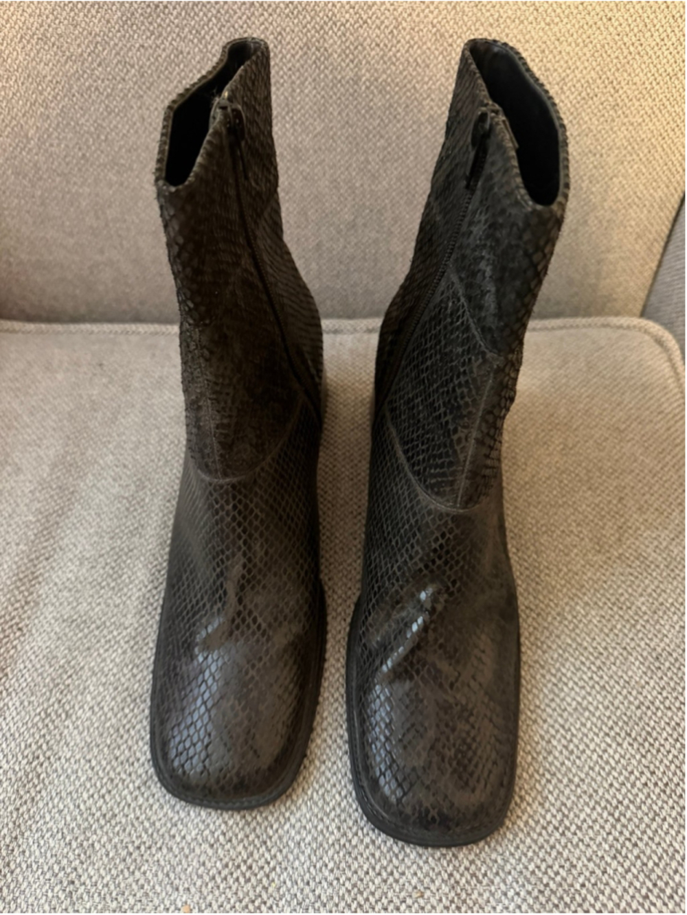 Carlos Falchi dark grey snakeskin-textured leather ankle boots sz 8.5